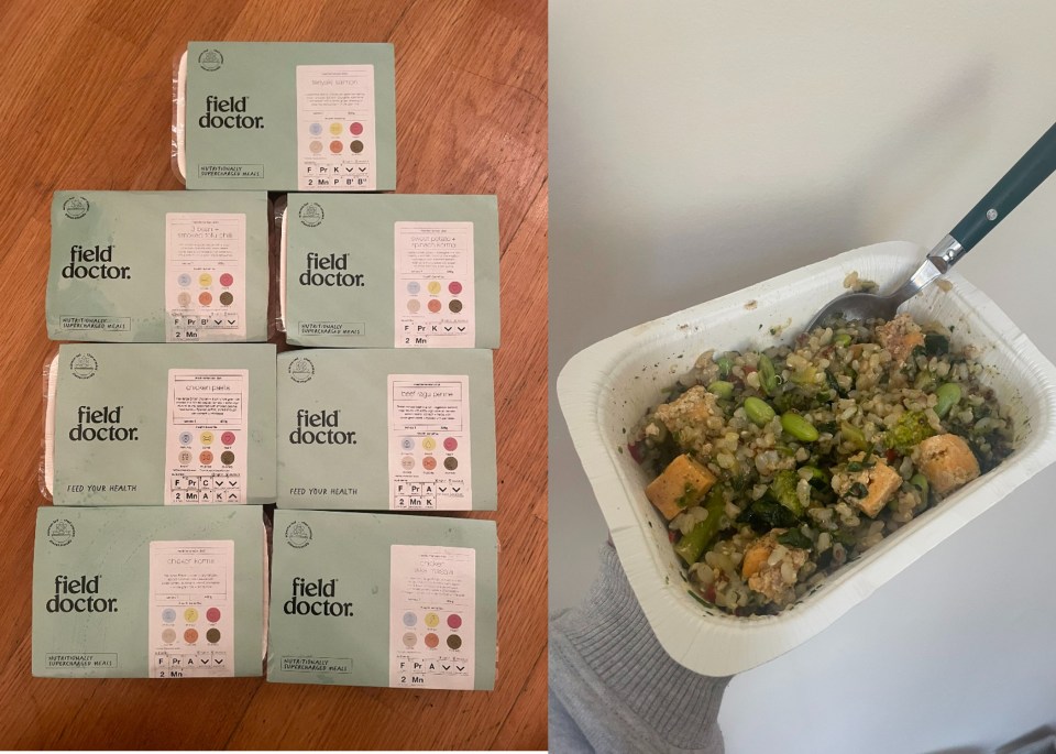 I tested 7 meals from Field Doctor including Teriyaki Salmon on rice.