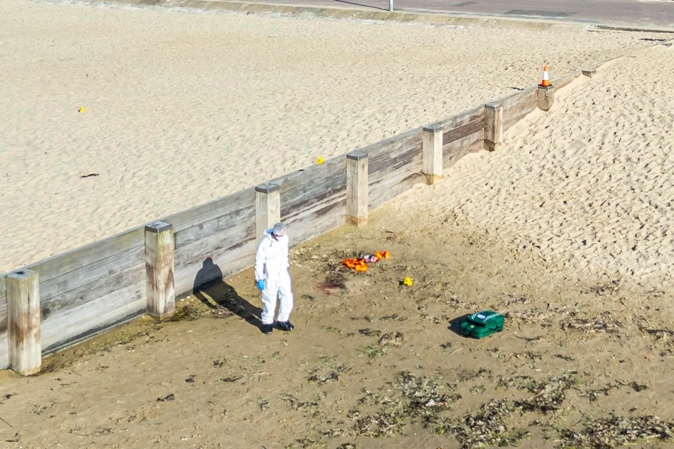 Forensic officers are combing Durley Chine beach