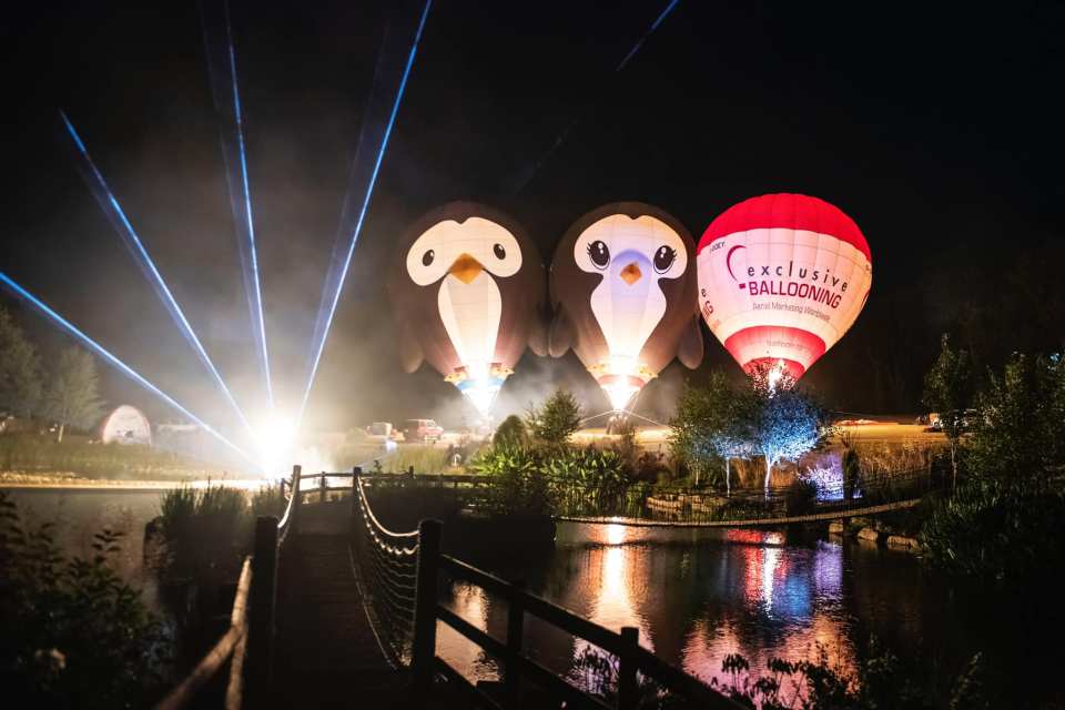 The festival will begin with a special night glow event on the Friday evening