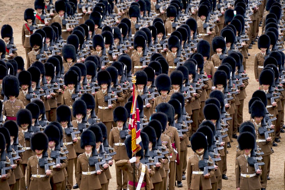 Troops of the Household Division will be taking part in this year's parade