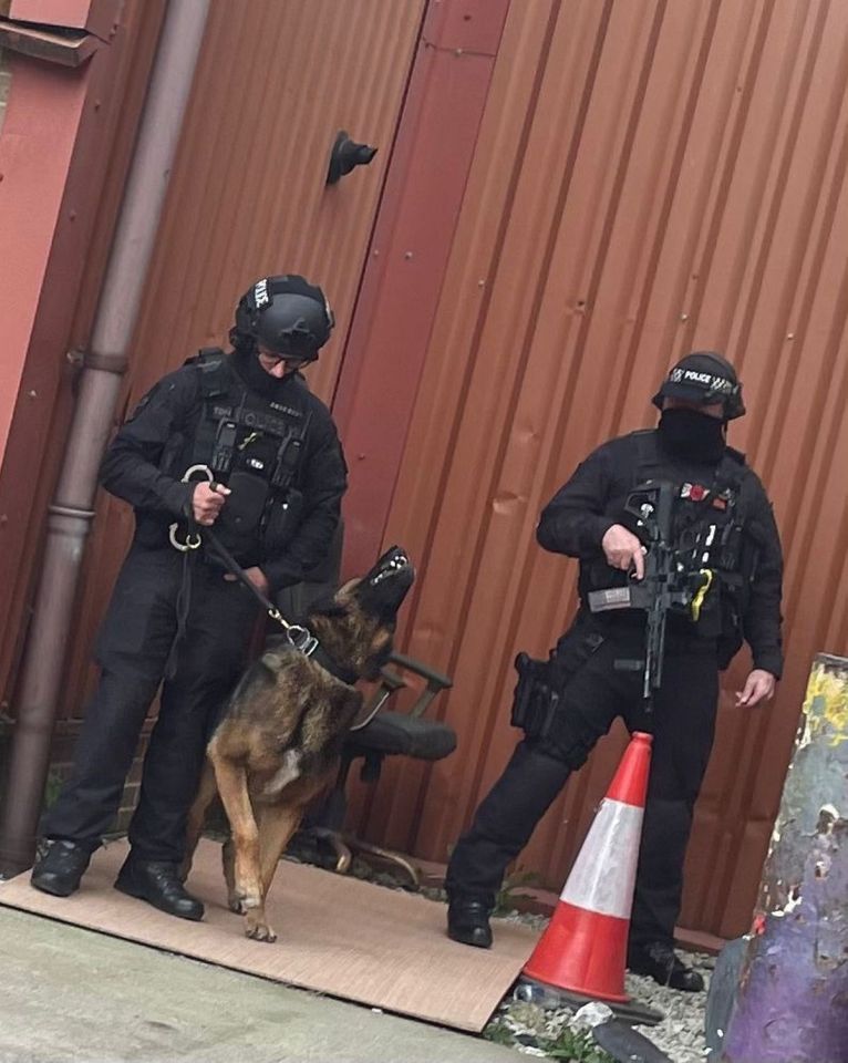 Officers with rifles and a dog were also at the scene