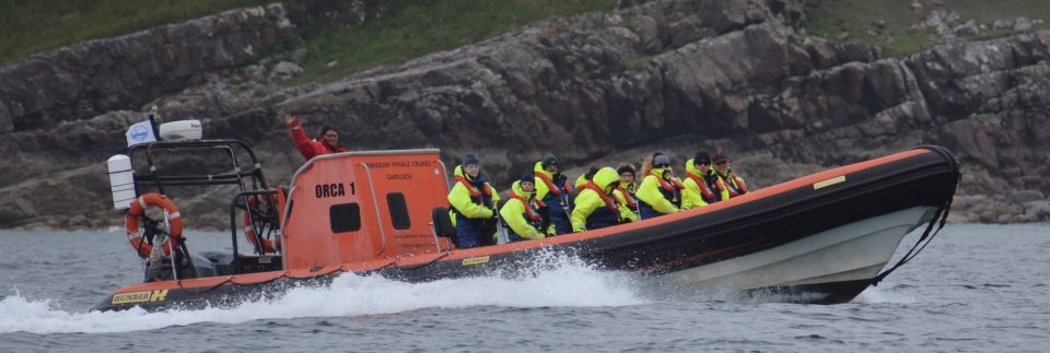 Hebridean Whale Cruises offer boat trips from Gairloch to the Shiant Islands, to try and spot minke whales, porpoises and common dolphins