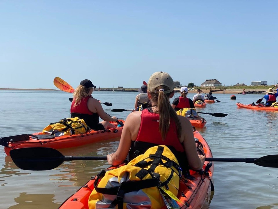 Nomad Sea Kayaking offer four to five-hour-long kayaking excursions to go see the seals