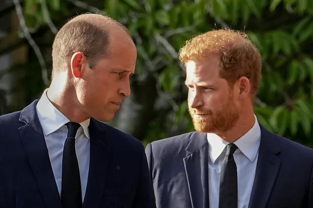 William and Harry have seen their relationship grow estranged over the years