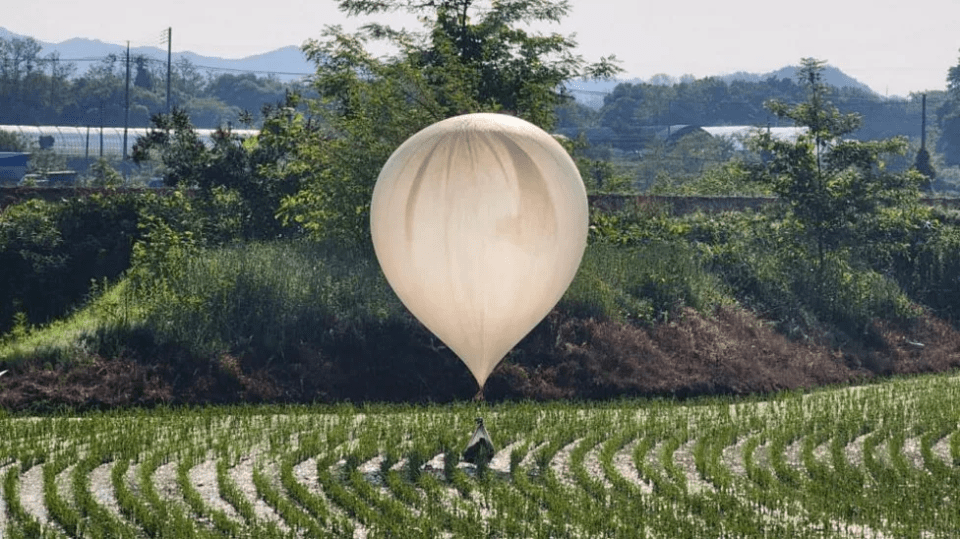 One of the poo-filled balloons lands in a field in South Korea