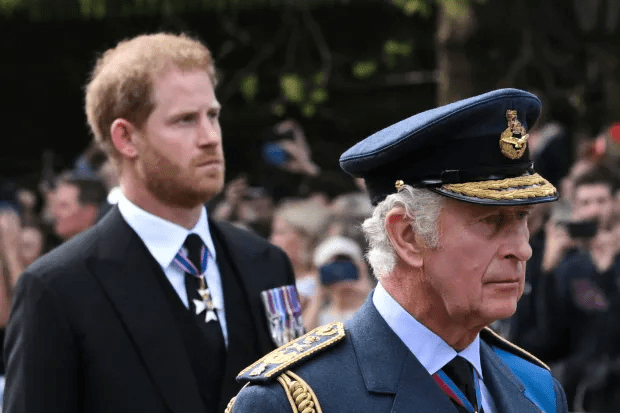 The move is seen as a major snub to Prince Harry who was once in the Army Air Corps