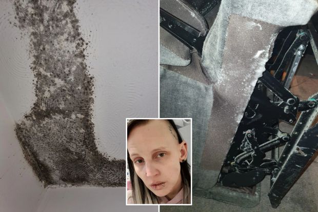 A bungalow is covered in 'aggressive mould,' a mum says