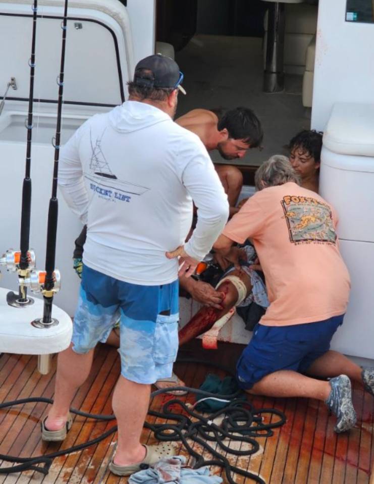 Marlin had to have a tourniquet tied onto his leg by the boats captain