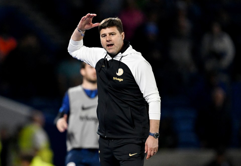 Mauricio Pochettino will try to guide his side into the Europa League