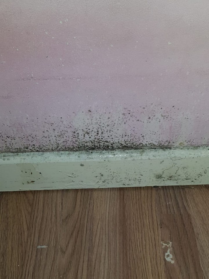 The mum estimates the mould has caused around £5,000 worth of damage