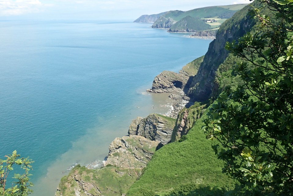 The fossils were found in cliffs overlooking the South West Coast Path