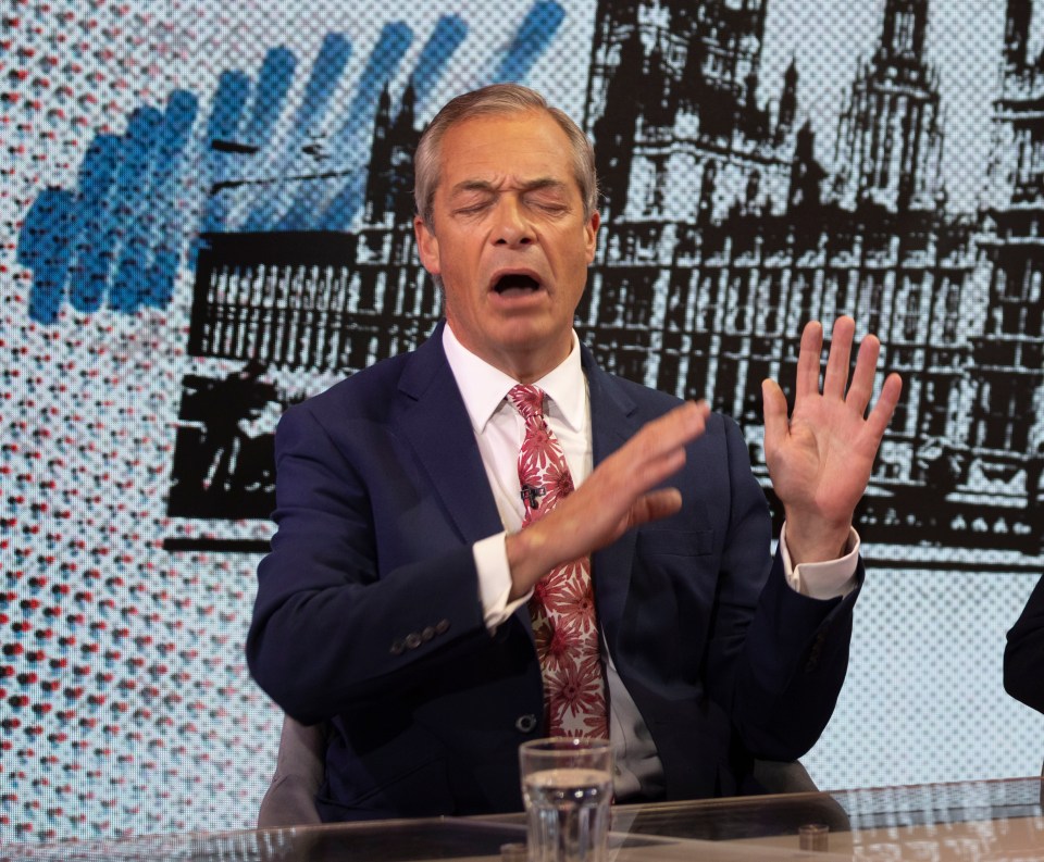 Nigel Farage has slammed Rishi Sunak's record on immigration