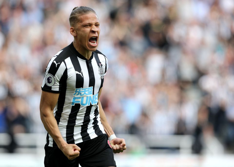 Gayle also fired Newcastle to Premier League promotion in 2016/17