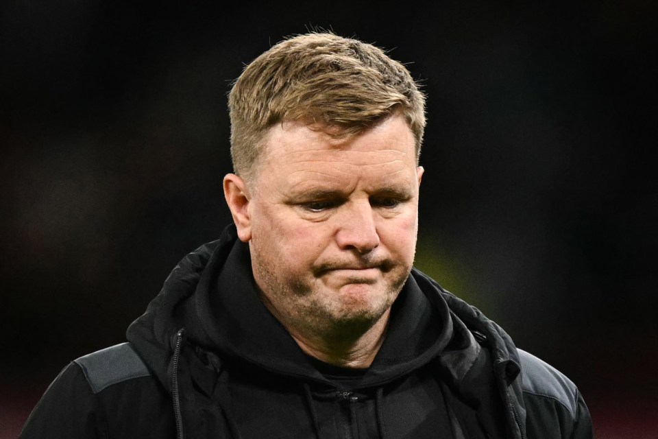 Newcastle and Eddie Howe have been left ruing the VAR calls against them