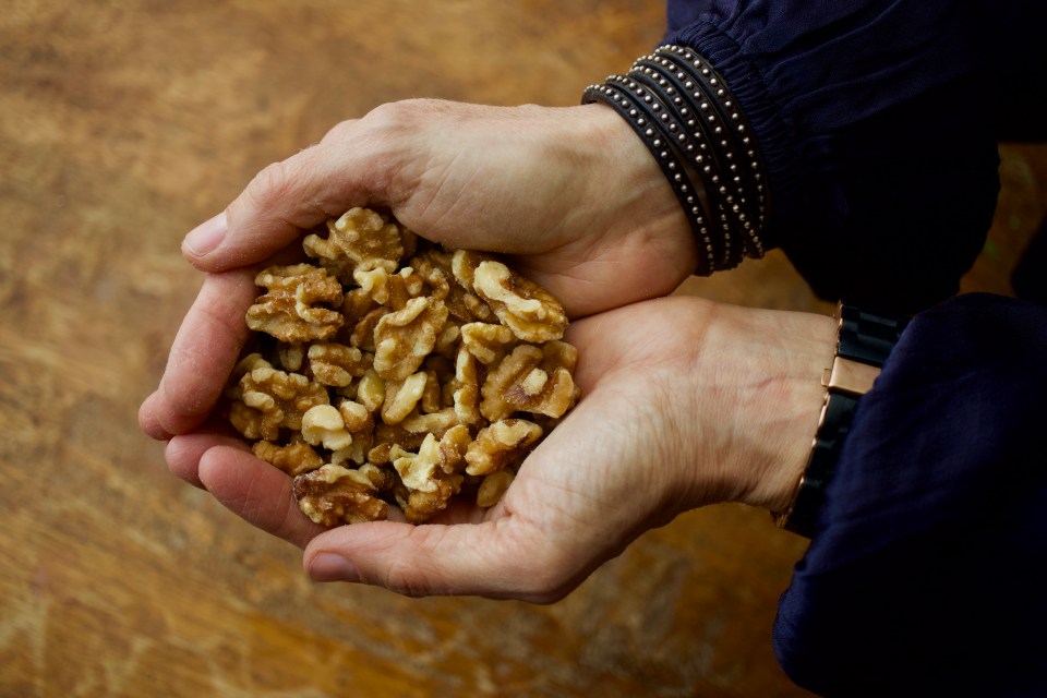 Dan said eating a handful or walnuts a day may add years to your life