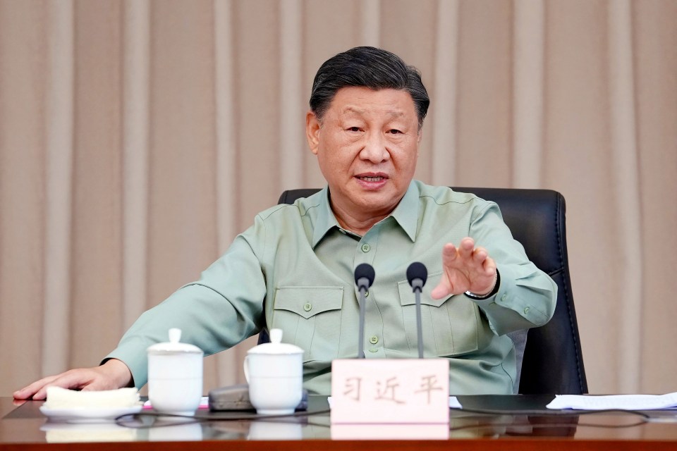 Chinese President Xi Jinping is building a 'new axis of authoritarian states'