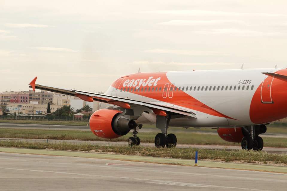 A drunk Brit passenger was arrested after trying to open the plane door mid-flight