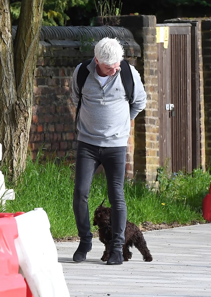 The cheeky pup got Phillip's legs tangled in his leash as he wandered