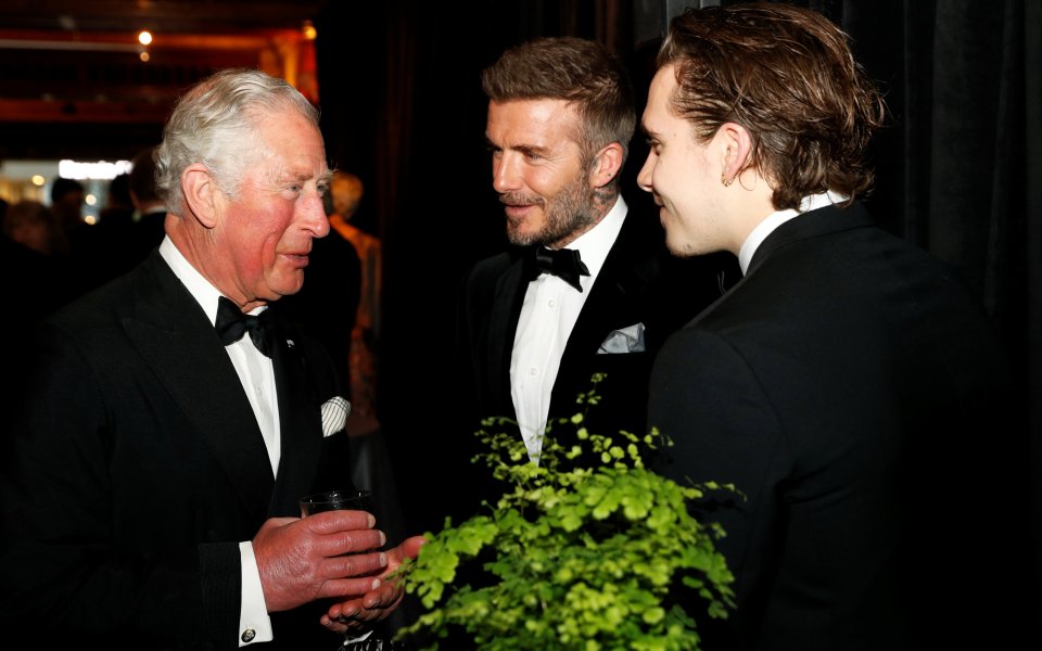 David Beckham netted private meeting with King Charles at Highgrove they bonded over a shared hobby