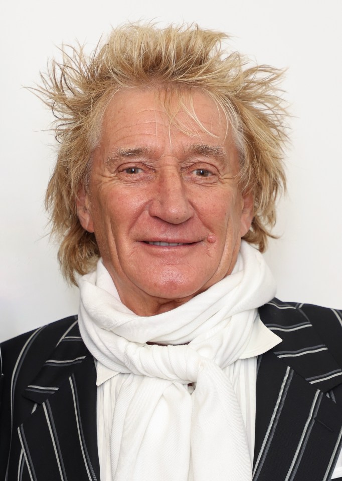 Viewers thought that his brother Randy looks like Rod Stewart