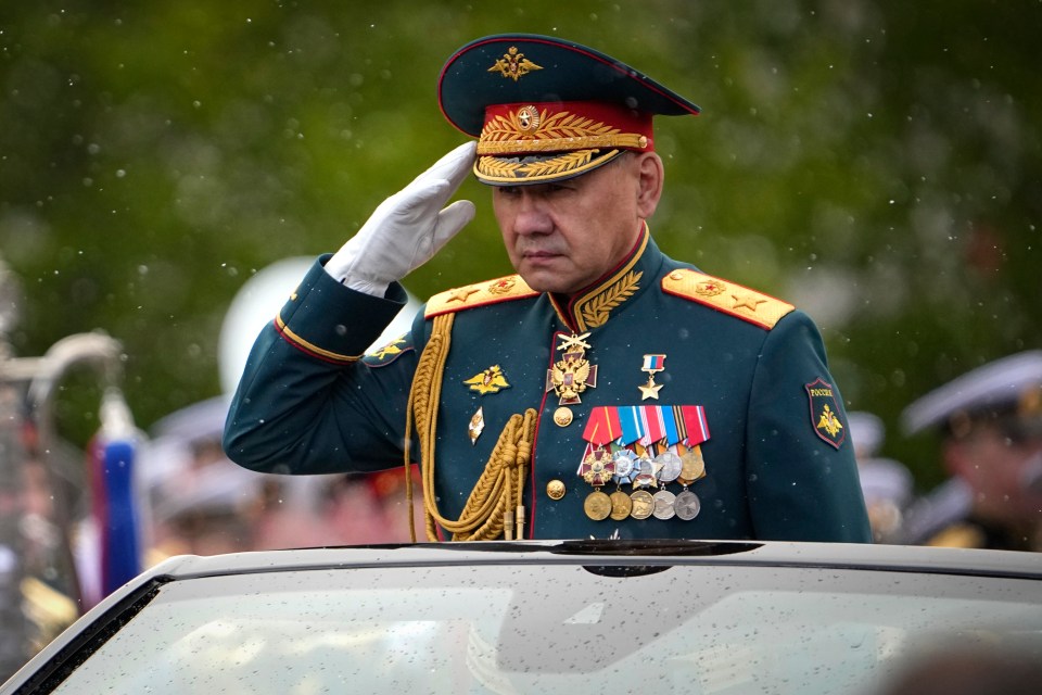 Sergei Shoigu has served as Russia's defence minister since 2012