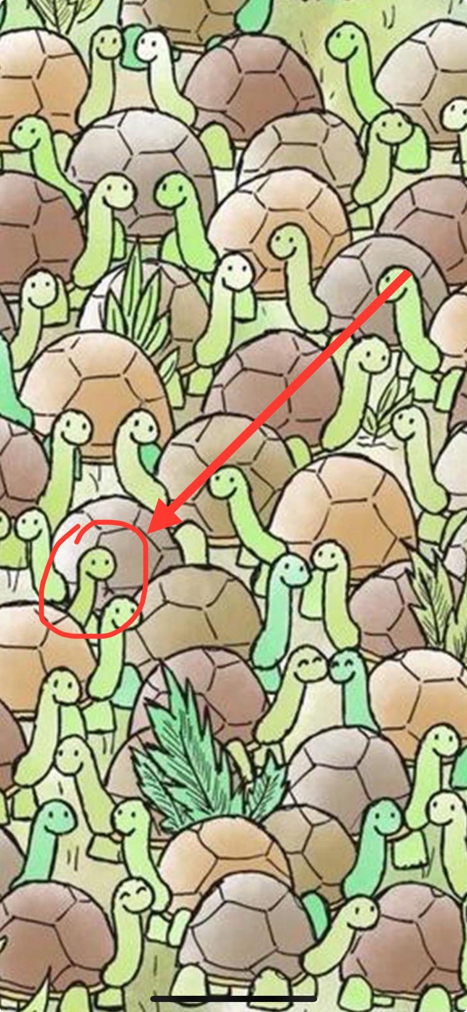 Were you able to spot the hidden snake?