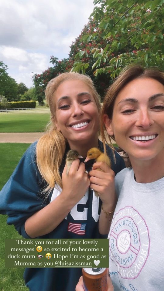 Stacey Solomon has become a 'duck mum' and proudly shared snaps of her newest additions to the Solomon-Swash family