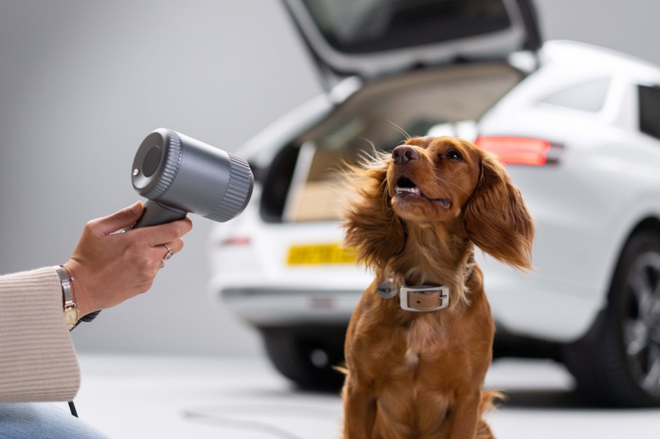 Once you've washed any mud off with the shower, there's a hair-dryer as well