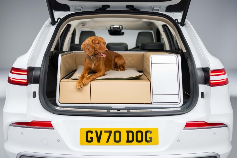 Genesis, the luxury brand of Hyundai, think it has created the 'ultimate' concept car for your pampered pooch