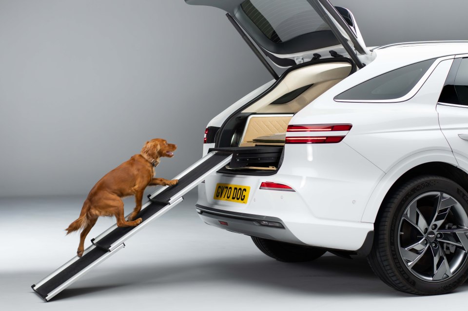 The car comes with a ramp as well so your pet pooch doesn't have to leap up to get in the boot