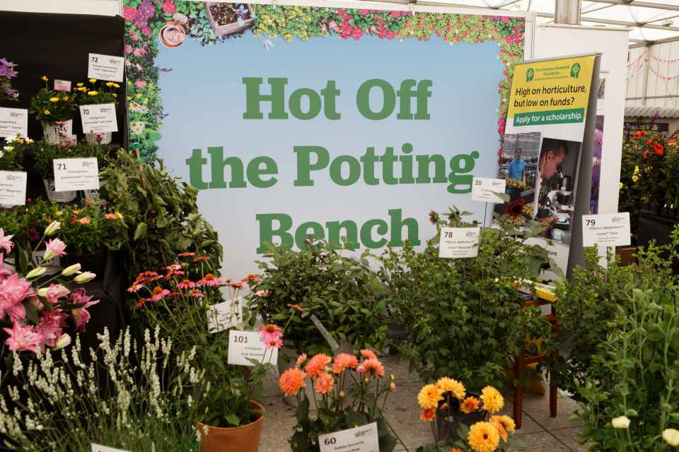 There's something for everyone at Gardeners World Live!