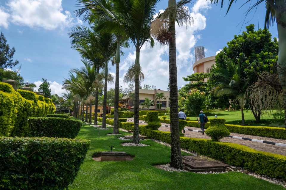 The hotel is surrounded by acres of lush grounds adorned with palm trees