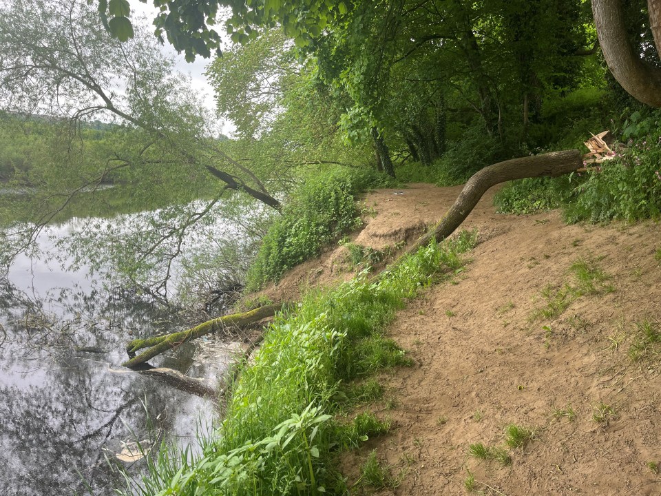 The tree which the rope swing was attached to has since been cut down, Northumberland County Council said they were not responsible for this