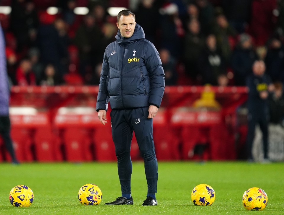 Tottenham assistant Chris Davies has been named as Birmingham's new manager