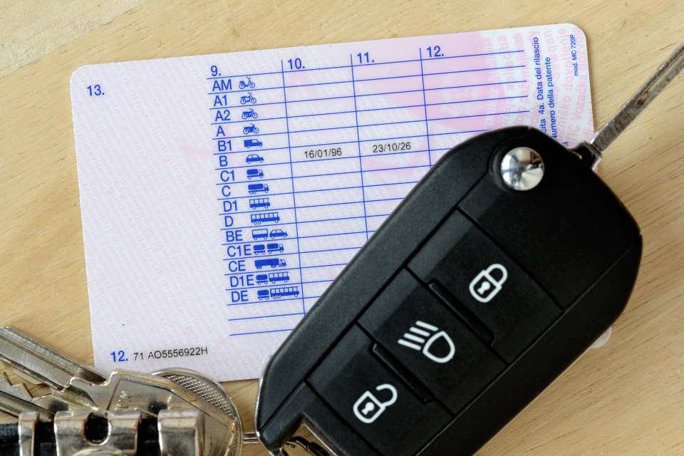 The codes on the reverse of your driving license indicate which class of vehicle you are permitted to drive