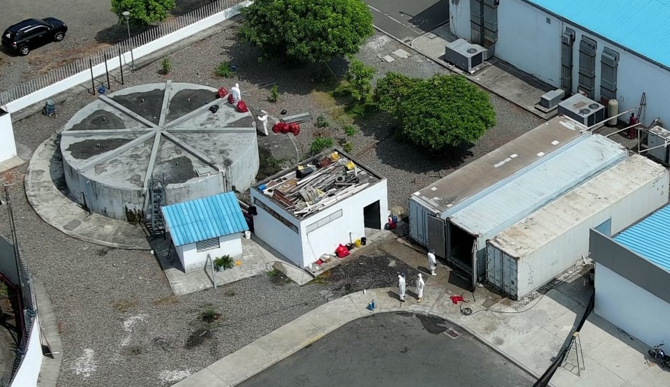 Staff are seen in hazmat suits moving the bodies after Guayaquil's main morgue broke down