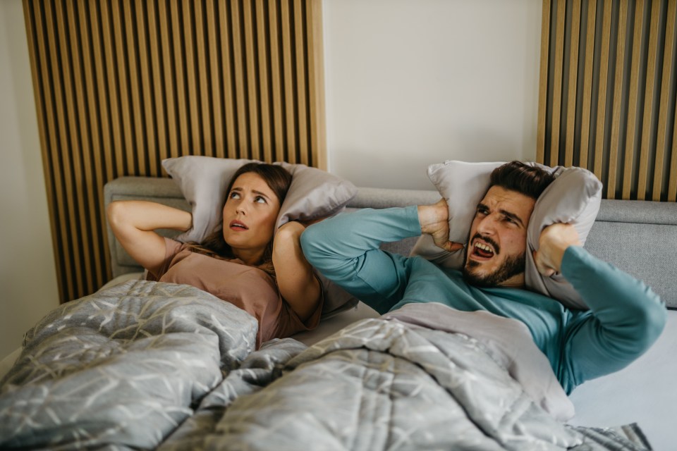 The number of complaints about couples having loud sex has risen since last year