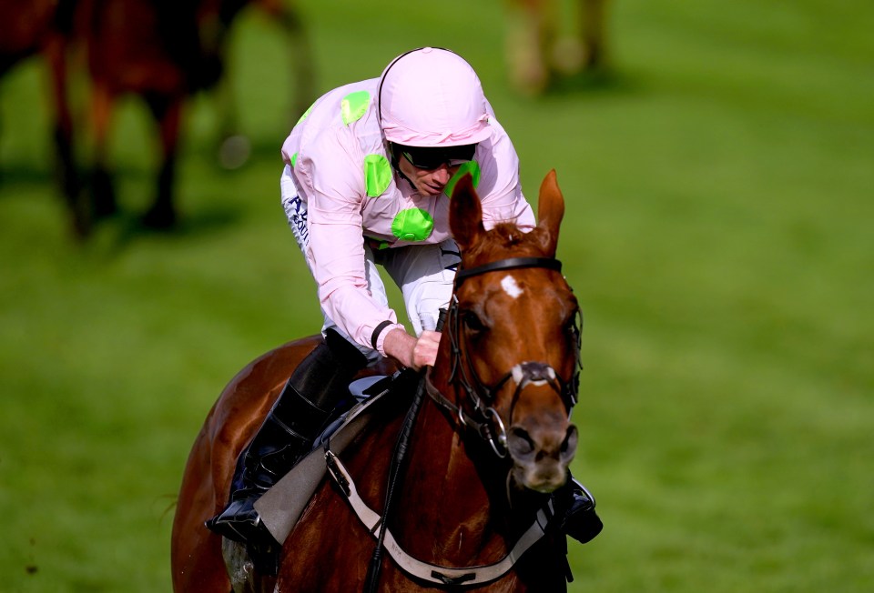 Vauban was second behind Aidan O'Brien's Kyprios in the Irish St Leger