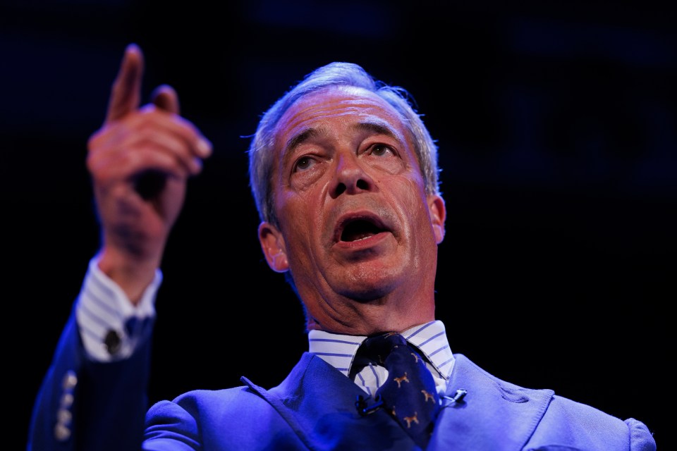 Vetting firm 'failed to root out Nazi sympathiser candidates', blasts Nigel Farage