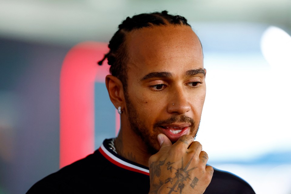 Sir Lewis Hamilton donated £11million, or 3.2 per cent of his £350million net worth