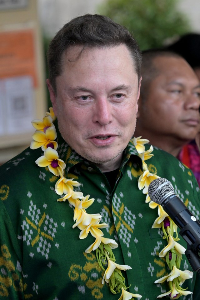 Tech billionaire Elon Musk founded Starlink - here he's pictured at a community health center in Bali