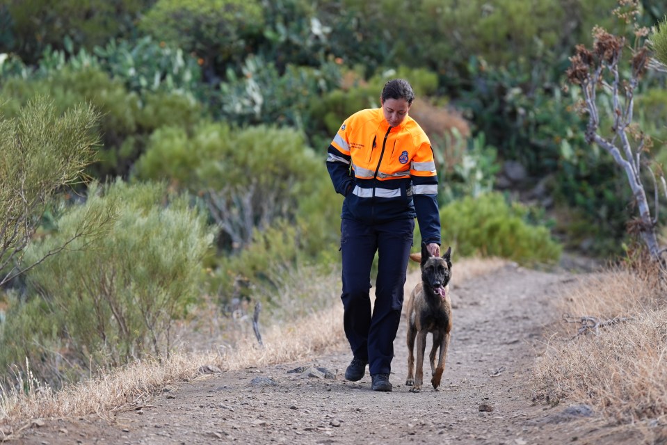 More search dogs are being brought in to find Jay