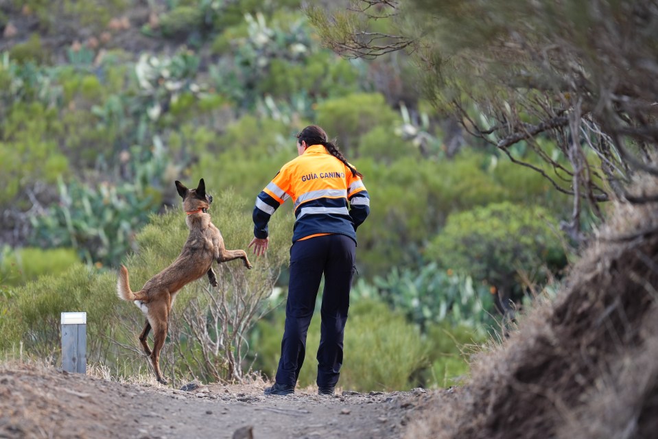 A search team member with a search dog near to the village of Masca, Tenerife