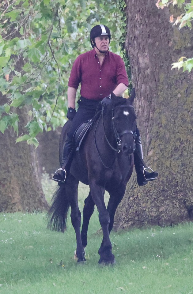 The Prince appeared tense during his ride