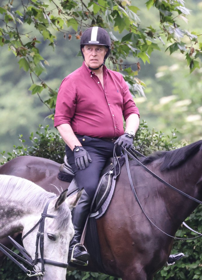 Prince Andrew, 64, was spotted riding the steed around the grounds of Windsor Castle