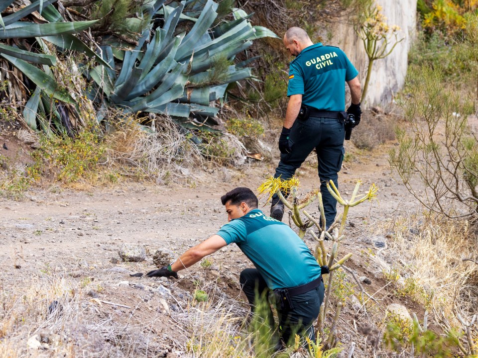 Cops scouring the mountainous terrain