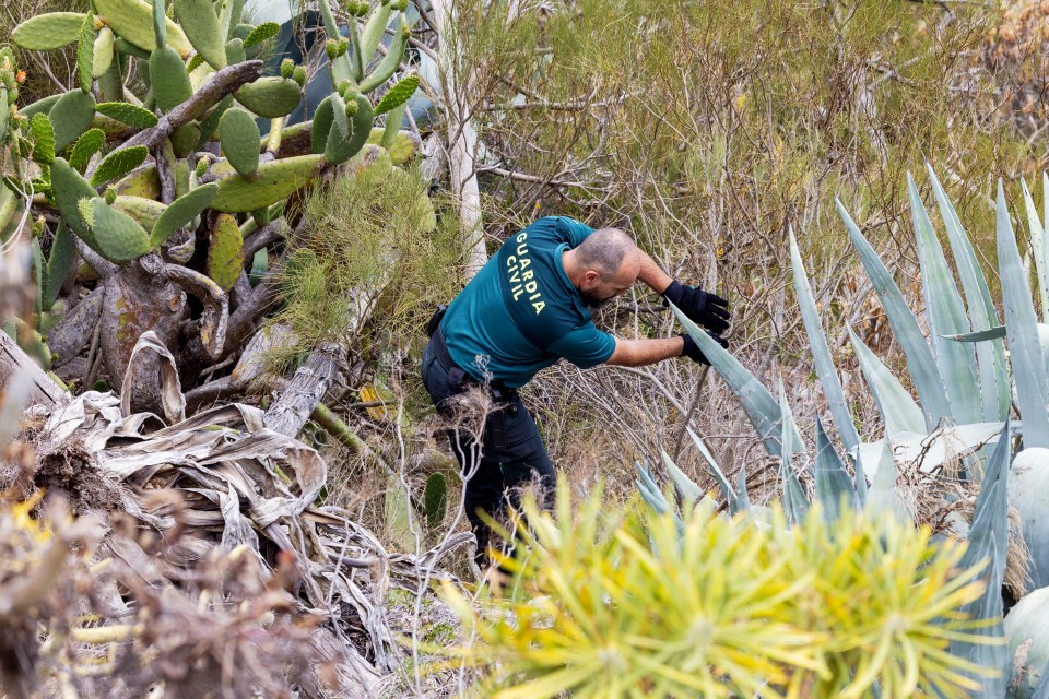 Search teams have been combing the area Jay was last known to be