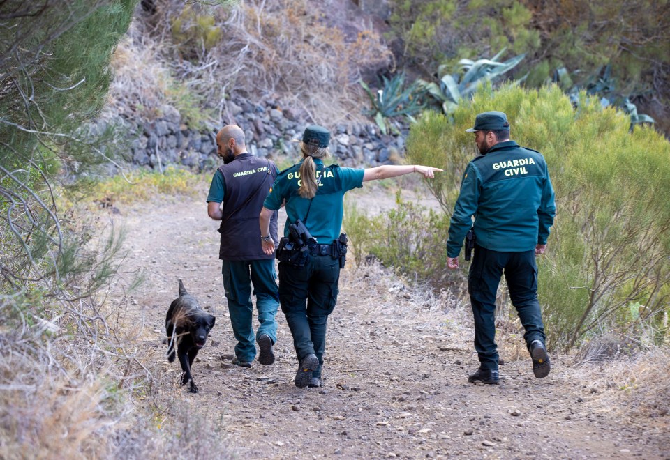 Crews have been using sniffer dogs to search for Jay