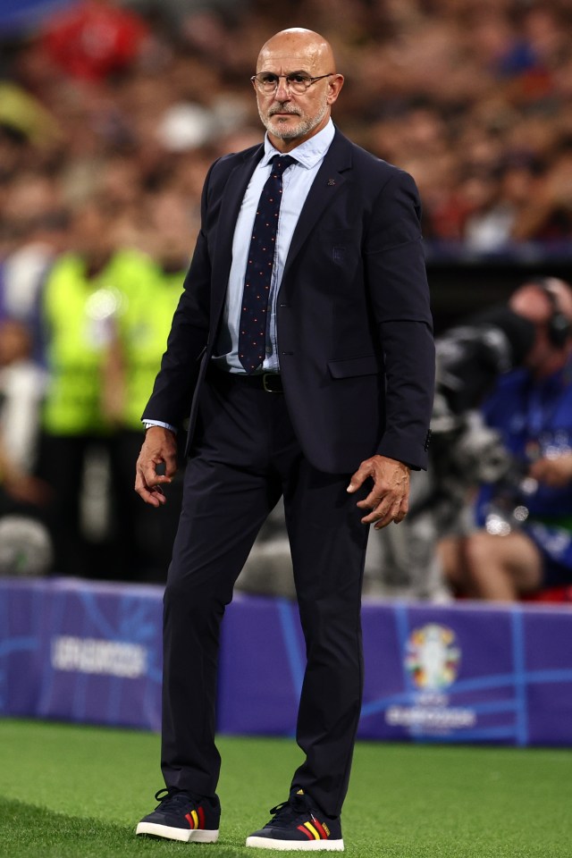 Spain boss Luis de la Fuente would earn a fraction of what Southgate could rake in