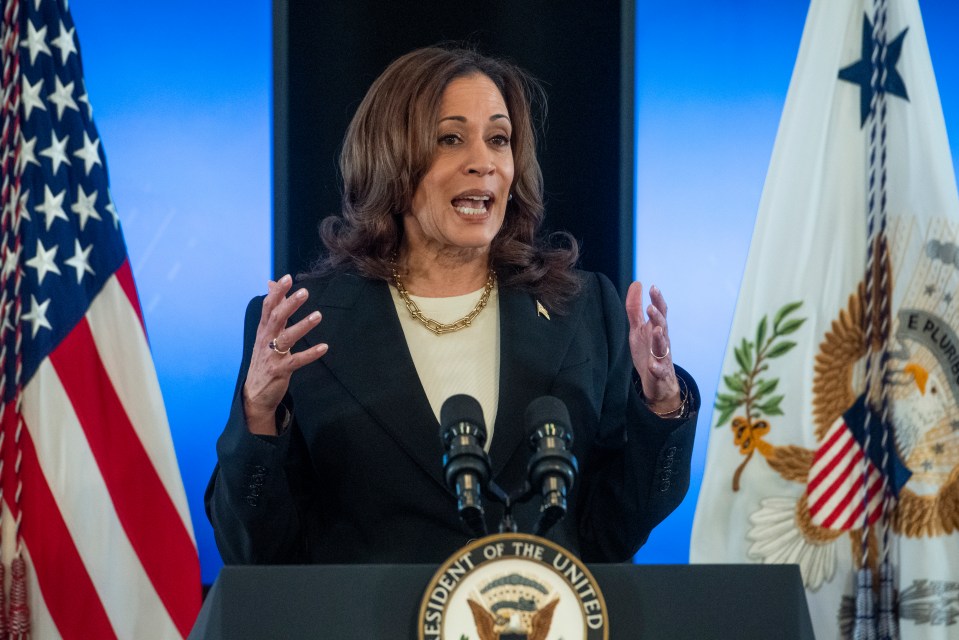 Biden's Vice President Kamala Harris